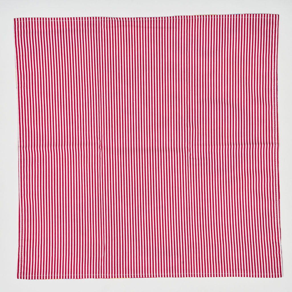 REVERSIBLE NAPKINS | floral & stripes (set of 4)